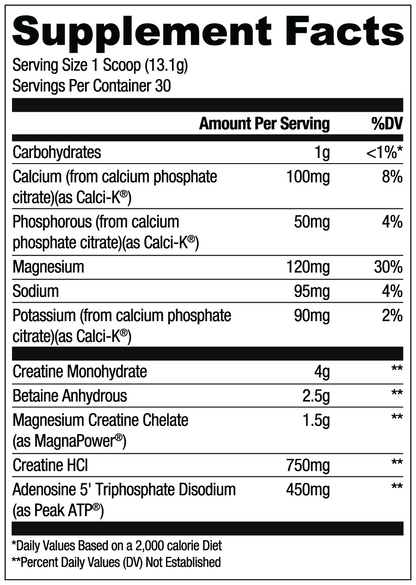 Loaded Creatine Baja Cooler - RYSE Supplements