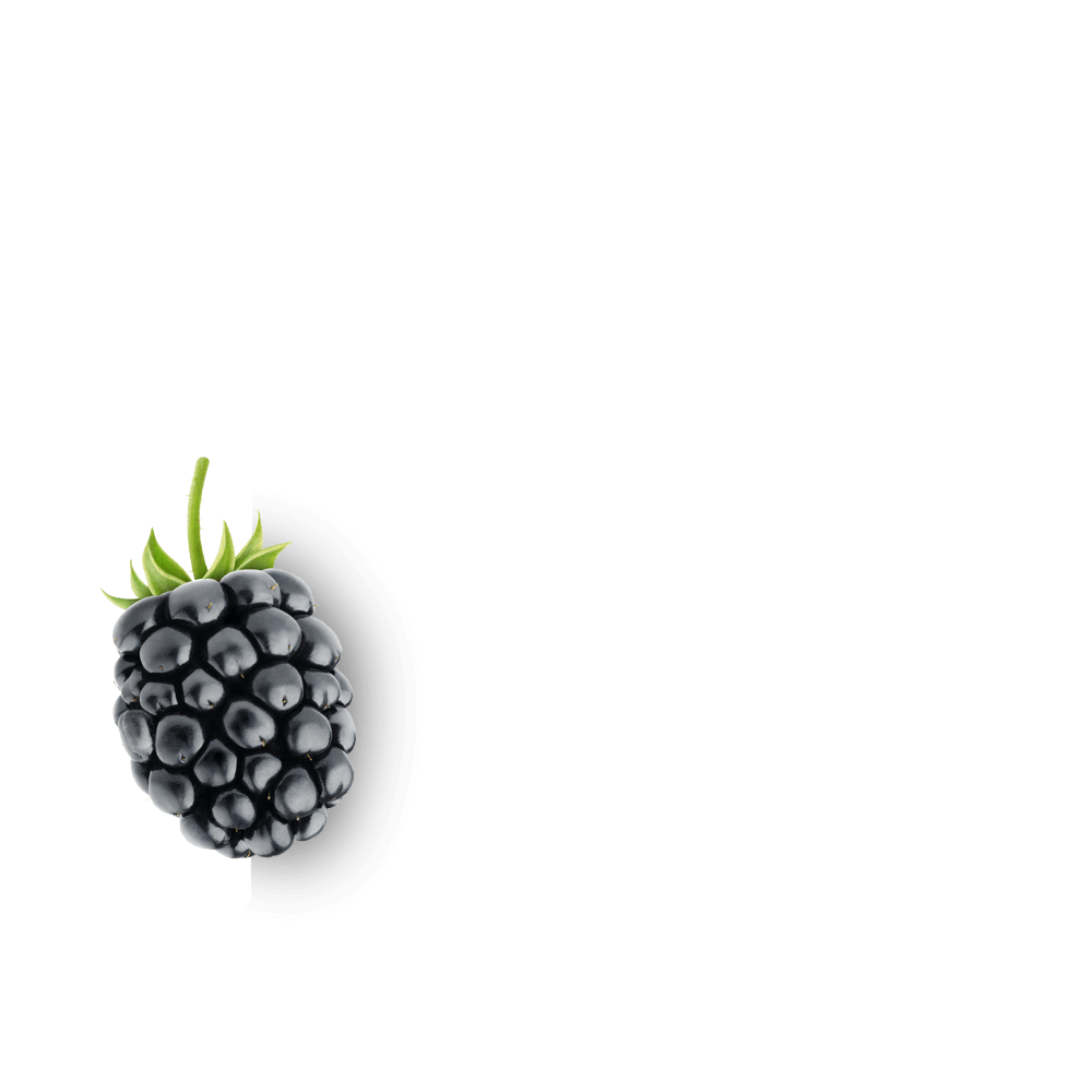 Godzilla Pre-Workout | RYSE Supps Blackberry Lemonade - RYSE Supplements