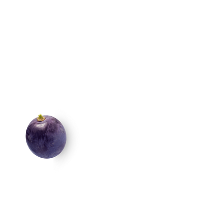 Loaded Pre Bazooka® Classic Grape - RYSE Supplements